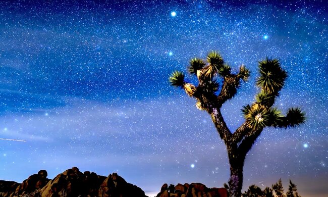 Звездное небо. Фото: YouTube, скрин