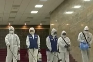 Коронавирус в Чехии