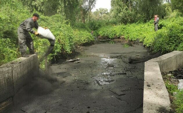 В Киеве озеро превратили в черное болото: вокруг один мазут и погибнет все живое