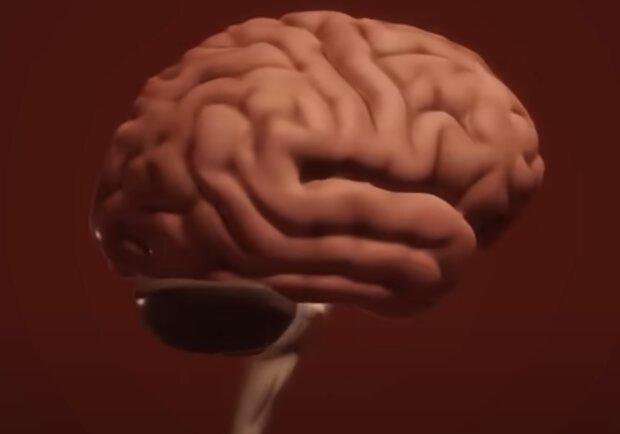 Мозок. Фото: скріншот youtube.com
