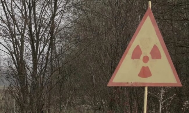 Моторошні кадри: в Чорнобильському заповіднику сфотографували тварину, що світиться вночі