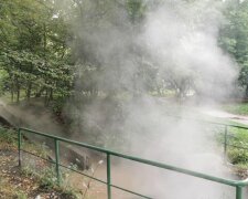 Никто не выжил: в киевском парке вскипело озеро, подробности катастрофы