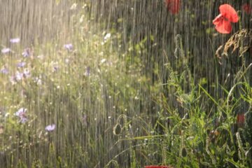 Погода в Украине. Фото: скриншот YouTube