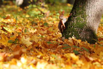 Погода 17 сентября 2019 года