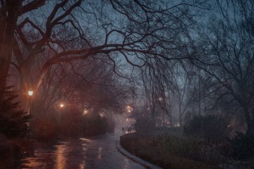 На этой неделе потеплеет и пройдут дожди, фото: 35photo