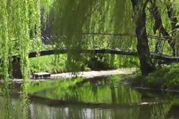 Природа навесні. Фото: скріншот YouTube-відео