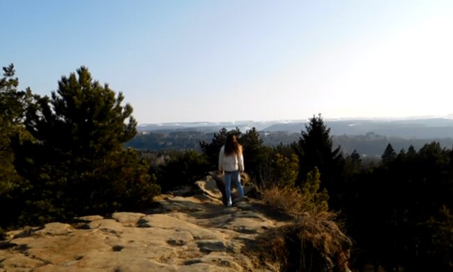 Природа весной. Фото: скриншот YouTube-видео