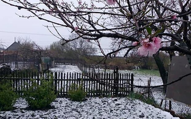 Снег весной. Фото: скриншот YouTube-видео