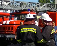 Спасатели. Фото: скриншот YouTube-видео