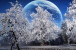 Любовный гороскоп на 2021 год!
