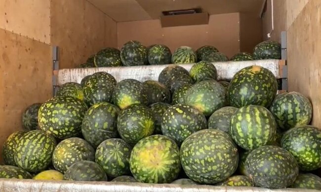 Украинские арбузы. Фото: скриншот Youtube-видео