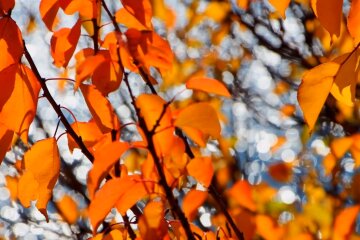 Прогноз погоды на выходные. Фото: скриншот  YouTube-видео