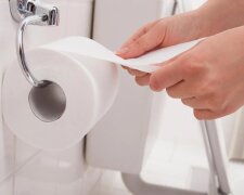 Почему следует отказаться от туалетной бумаги. Фото: из открытых источников