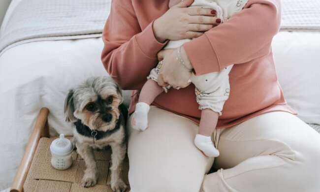 Декрет, стаж за декрет, пенсія. Фото: Telegram