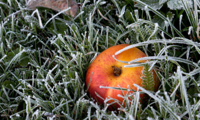 В Украине существенно похолодает