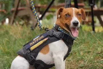 Пес Патрон. Фото: скріншот YouTube-відео