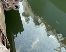 Внаслідок аварії в акваторії Дніпро-Бузького лиману стався розлив соняшникової олії