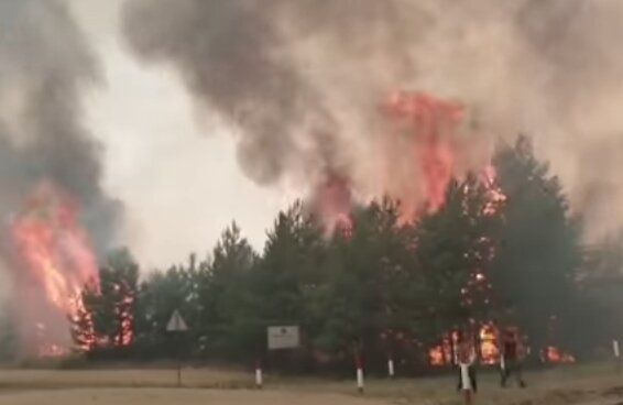 Лесной пожар. Фото: скриншот YouTube