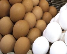 Те кто регулярно кушают яйца, будут иметь хорошее зрение