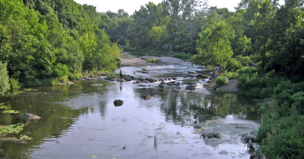 Подробности загрязнения реки Рось: в воду попали 900 литров химикатов