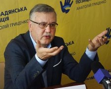 Гриценко поставил подножку Порошенко: заявил, что хочет стать премьером
