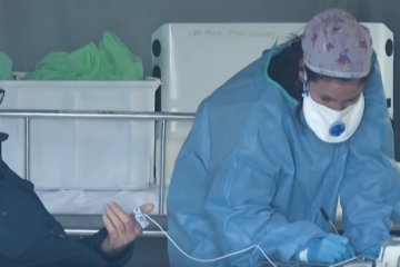 Для борьбы нужно два года. Фото: youtube