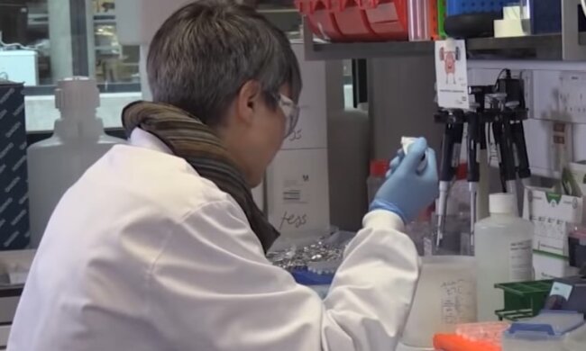 Все случится совсем скоро: медики предупредили украинцев – "Надежды уже не осталось…"