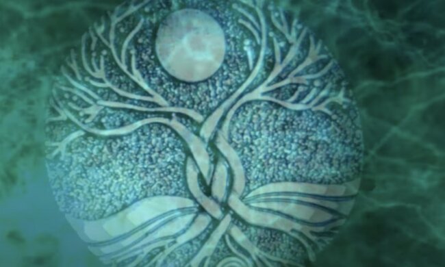 Дерево життя, скріншот із YouTube