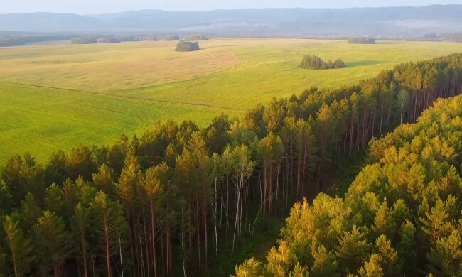 Осінь. Фото: скріншот YouTube-відео
