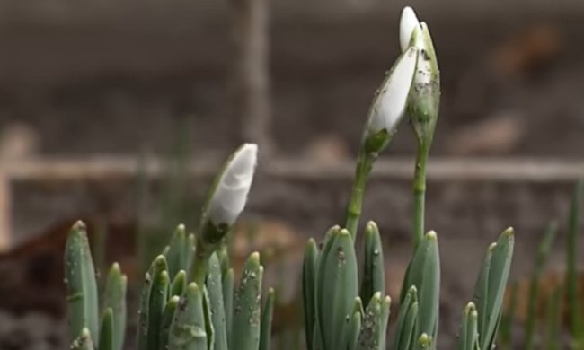 Украину ждут теплые и сухие выходные. Фото: YouTube