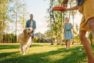 Веселі ігри із собакою: розвага для всієї сім'ї