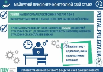 Скриншот ПФУ