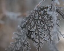 Мороз. Фото: скриншот YouTube-видео