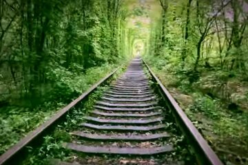 Тоннель любви в Ровенской области. Фото: скриншот YouTube-видео