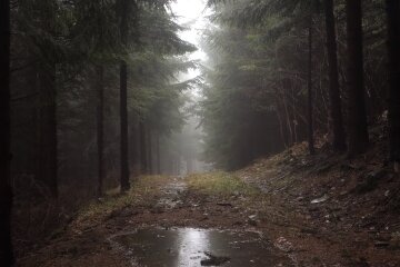 Дождливая погода. Фото: скриншот YouTube