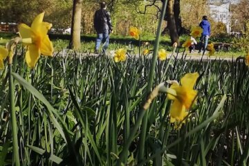 Пенсіонери в Україні. Фото: YouTube, скрін