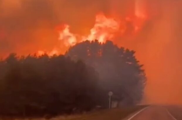 Пожар в сибирских лесах. Фото: YouTube, скрин