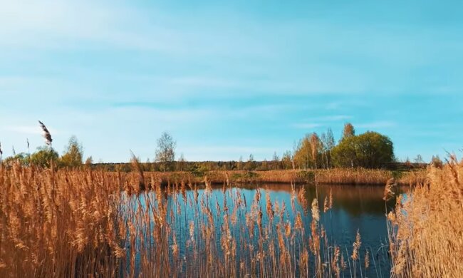 Природа.  Фото: скриншот YouTube-видео