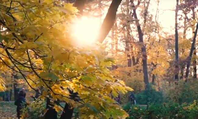 Осiнь. Фото: скріншот YouTube-відео