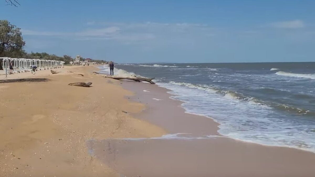 Азовское море ушло от берегов на сотни метров, видео