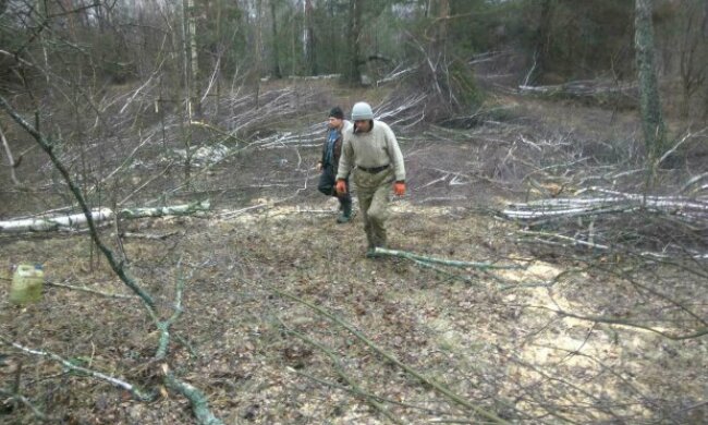 В Держекоінспекції розповіли, скільки екологічних порушень виявили за минулий тиждень
