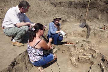 Украинские археологи нашли останки доисторического чудовища — им 9 миллионов лет