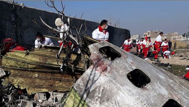 Последствия крушения самолета “МАУ", скриншот РИА Новости