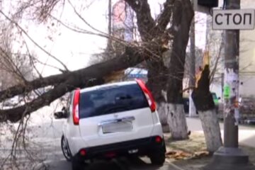 Наслідки негоди. Фото: скріншот YouTube-відео