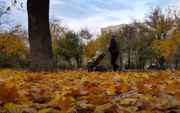 Парк осенью. Фото: скриншот YouTube-видео