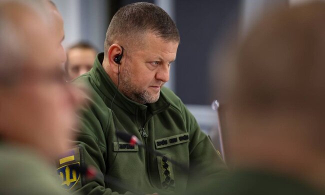 Валерій Залужний. Фото: Telegram