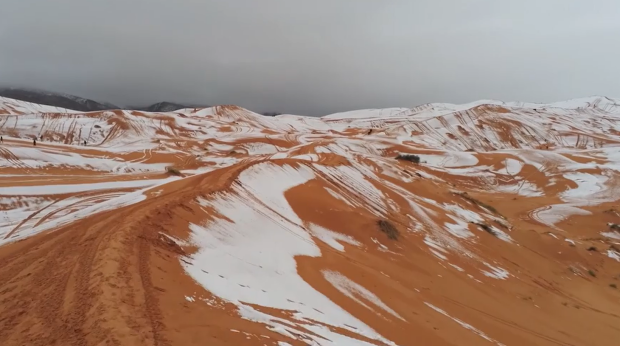 Сахару засипало снігом і вдарили морози: Telegram