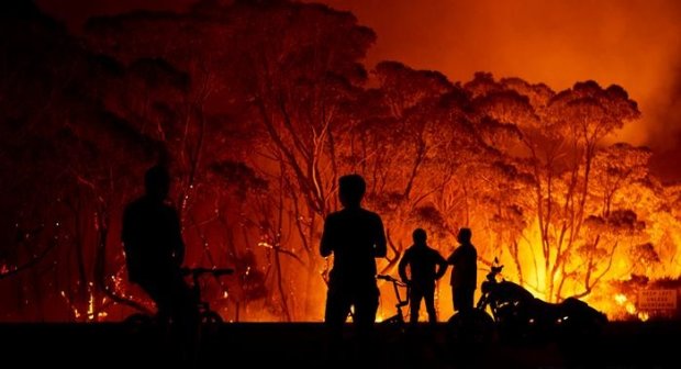 Лесные пожары в Австралии. Фото: Getty Images\ B.Hammings