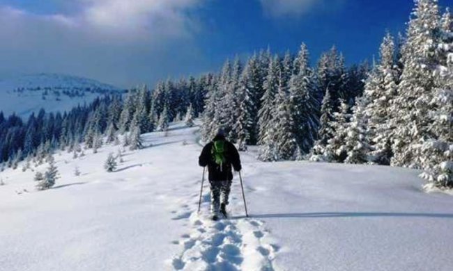 Снег в Карпатах