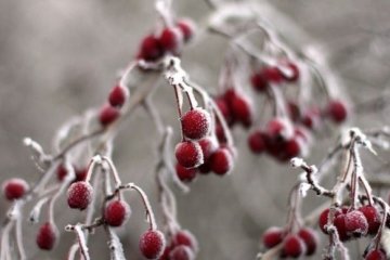 В Украину идет антициклон. Фото иллюстративное